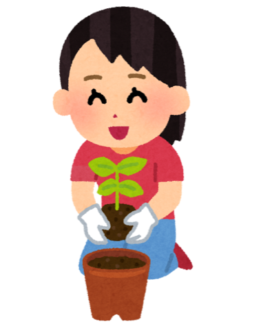 鉢に苗を植えるイラスト